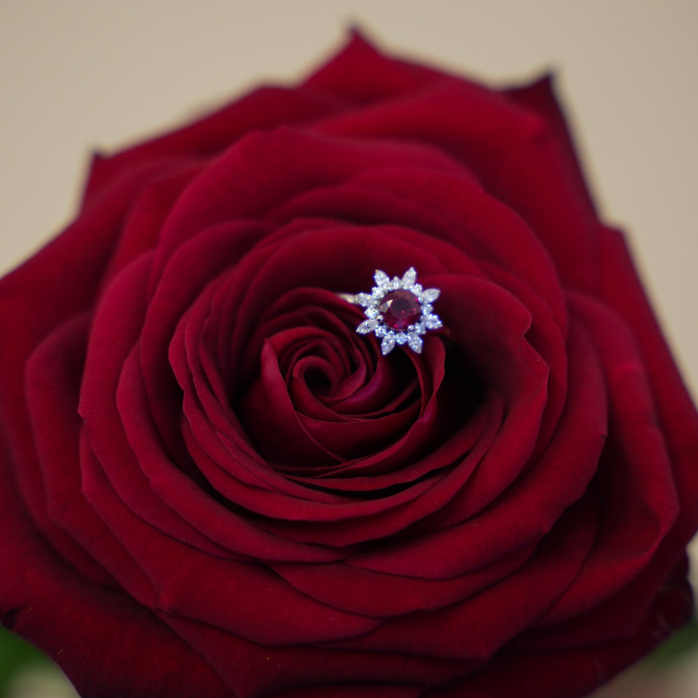 Halo-timanttisormus valkokulta