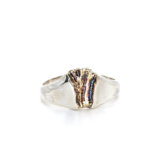 Silver lapponia style ring