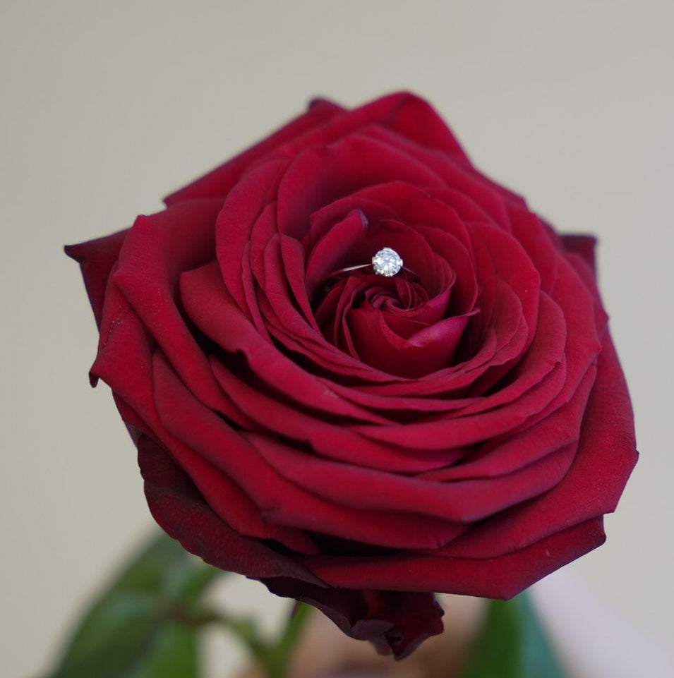 Tillander Diamond Solitaire White Gold Ring